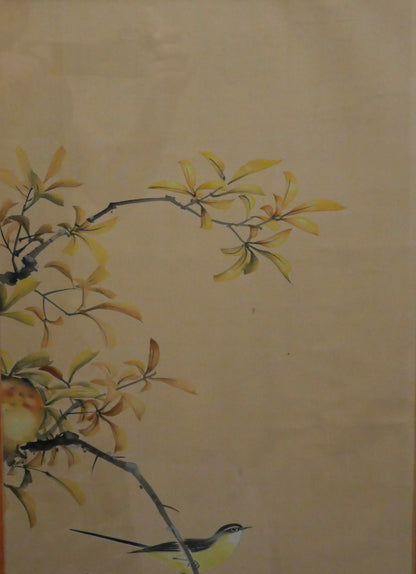 Vintage Mid 20th Century Japanese Grey Wagtail Bird in Pomegranate Tree Framed Silk Painting Signed Hidemi