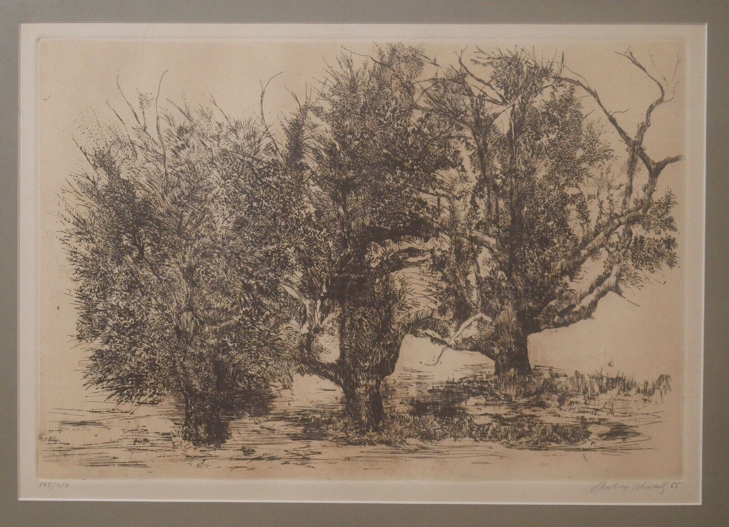 Aubrey Schwartz - "Trees" Limited Edition Etching (#188/210) (1966) (American)