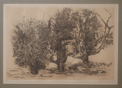 Aubrey Schwartz - "Trees" Limited Edition Etching (#188/210) (1966) (American)